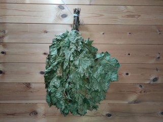 Кленовый веник