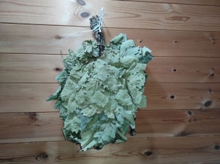 Дубовый веник "Кавказский"